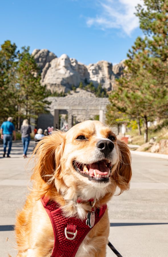 ranger storm in front of mount rushmore south dakota