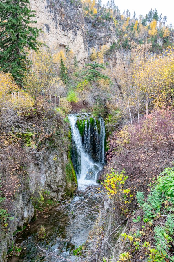 roughlock falls in spearfish canyon south dakota as seen from above surrounded by fall foliage