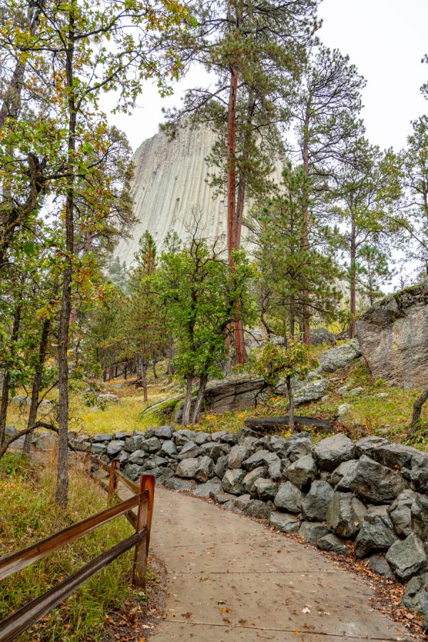 hiking trail surrounding devils tower wyoming on a rainy day